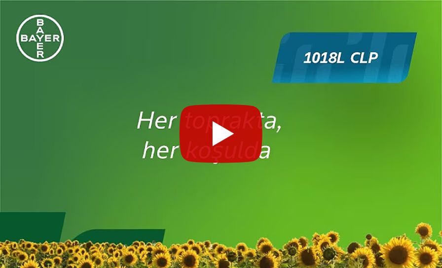 1018L CLP