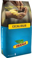 DK Excalibur - Hibrit Kanola Tohumu