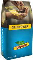 DK Expower Hibrit Kanola Tohumu