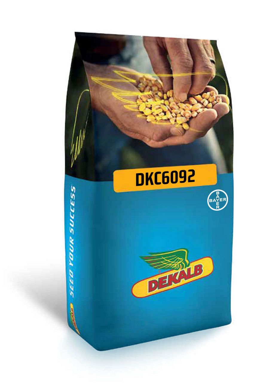 DKC6092 - Erkenci Danelik Mısır Tohumu