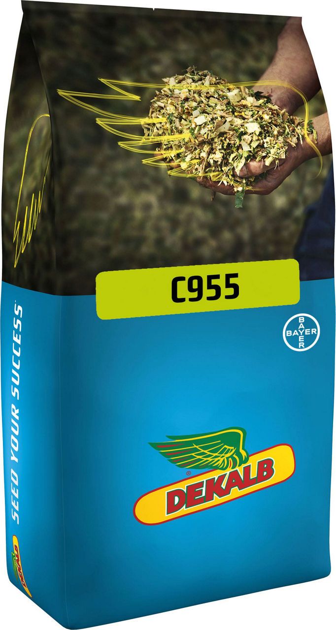 C955 - Silajlık Mısır Tohumu
