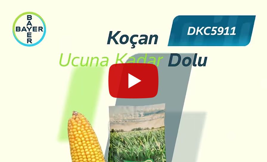  DKC5911