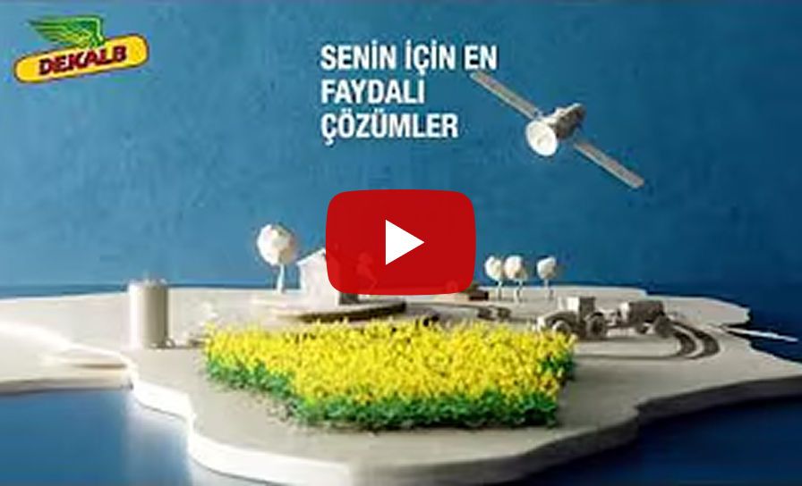 Kanolada Kazandıran Çözümler