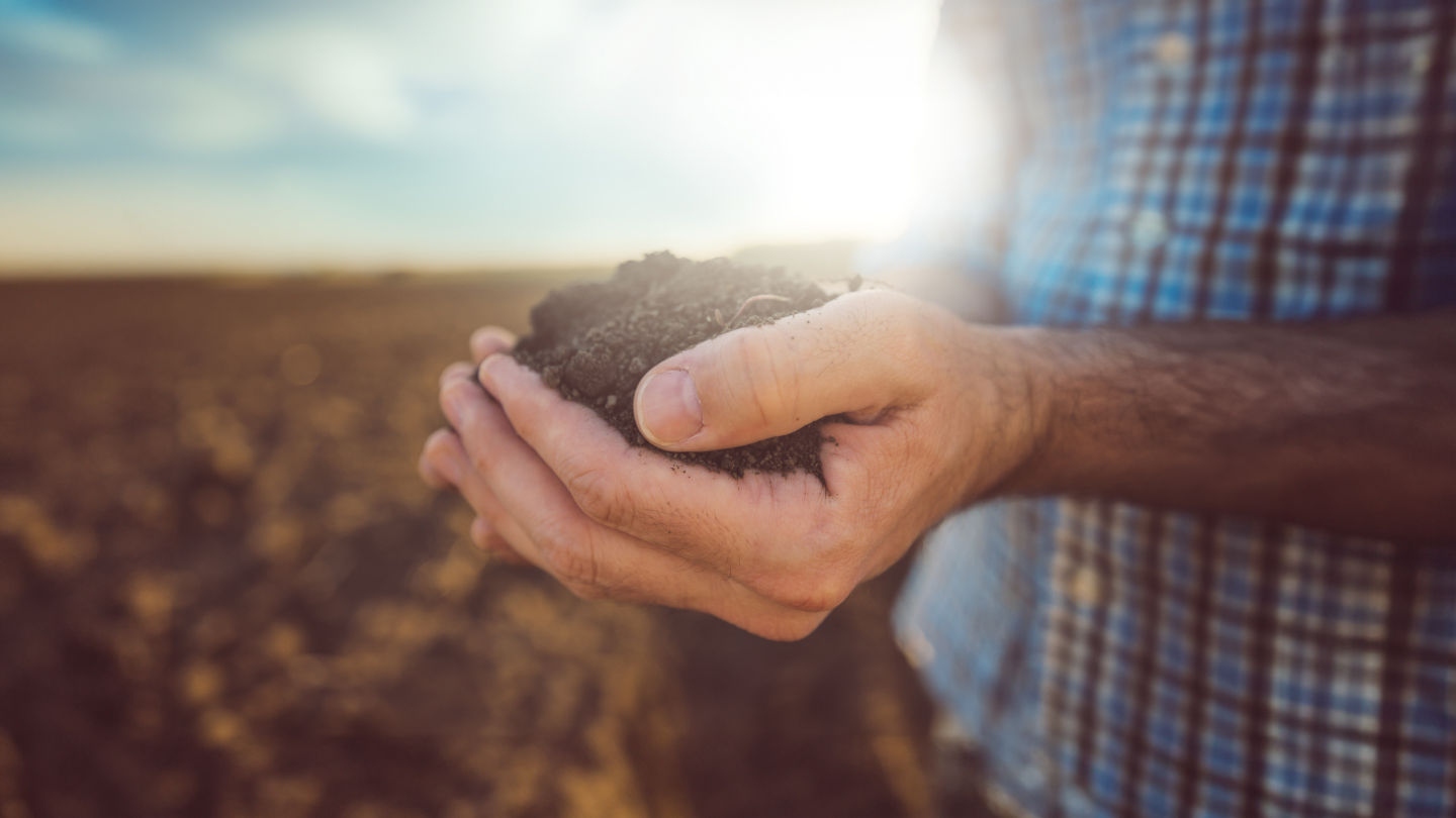 Default Article Header Image