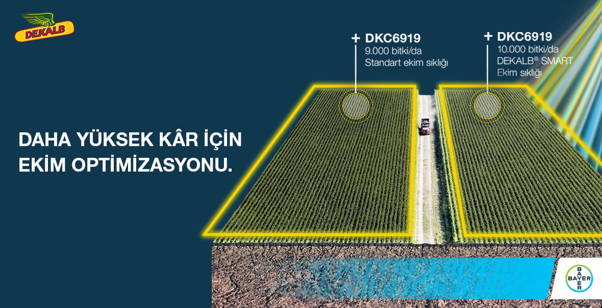 Danelik Çeşitler için Ekim Sıklığı Tavsiyesi