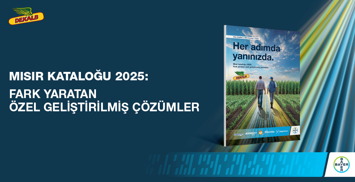 katalog 2024