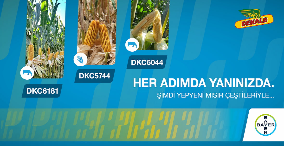 Her Adımda Yanınızda