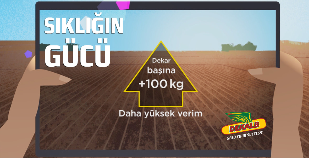 İşte bu DEKALB Farkı