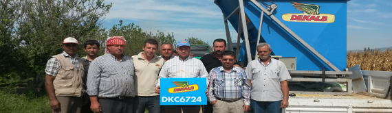 Mısır üreticilerine hasat sürecinde destek veren Dekalb ziraat mühendisi üreticilerle fotoğraf çekiliyor. Hasatların sonunda mısır tohumunun liderliğini kanıtlayan sonuçlar elde edildi.