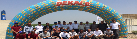 Dekalb Mısır Festivali'ne katılan mısır üreticileri fotoğraf çekiliyor