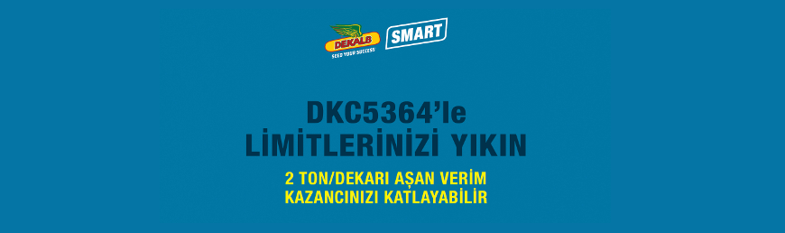 DKC5364 İLE LİMİTLERİNİZİ YIKIN