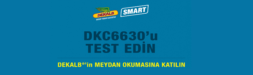 DEKALB’İN MEYDAN OKUMASINA KATILIN